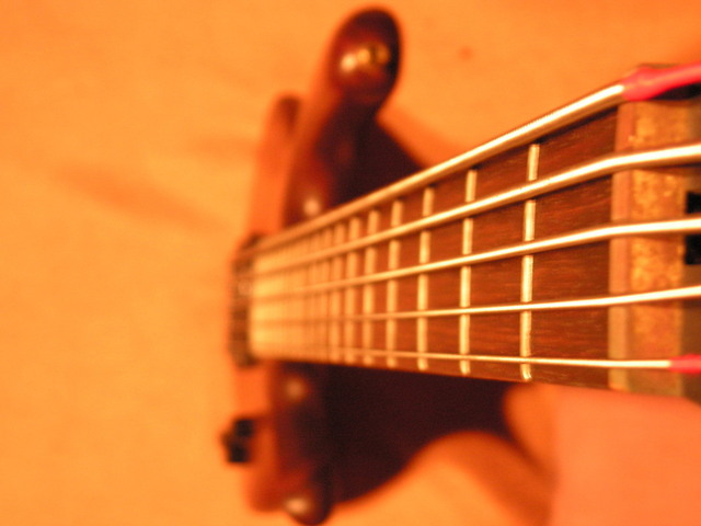 5-string-bass-1421154-640x480