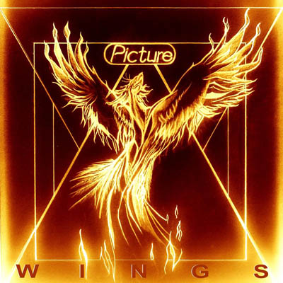 Cover_PICTURE_Wings