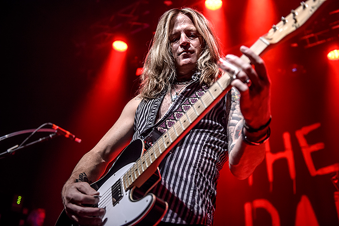 DSC_6971-DeadDaisies