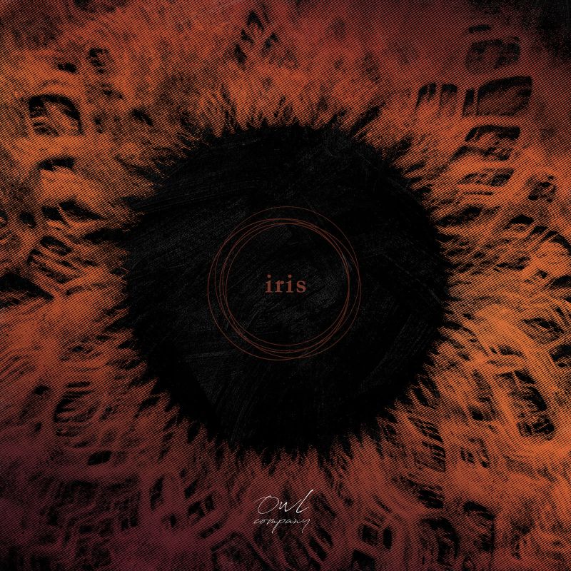 Iris-by-Owl-Company-album-cover