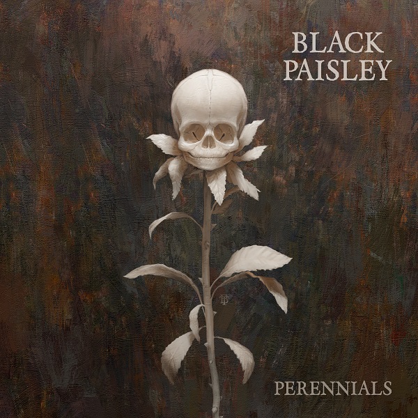 black-paisley-perennials